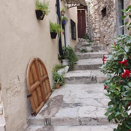 שיבניק Room With Shared Bathroom House Gorica מראה חיצוני תמונה